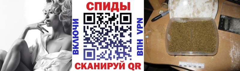 МЕГА как зайти  Шагонар  Бутират BDO 33% 