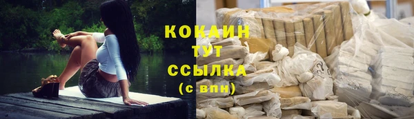 прущие крисы Арсеньев