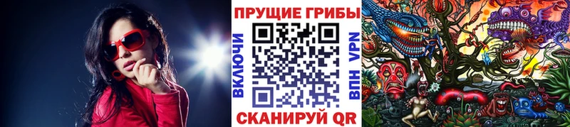 KRAKEN ТОР  Шагонар  Галлюциногенные грибы Magic Shrooms  купить наркотик 